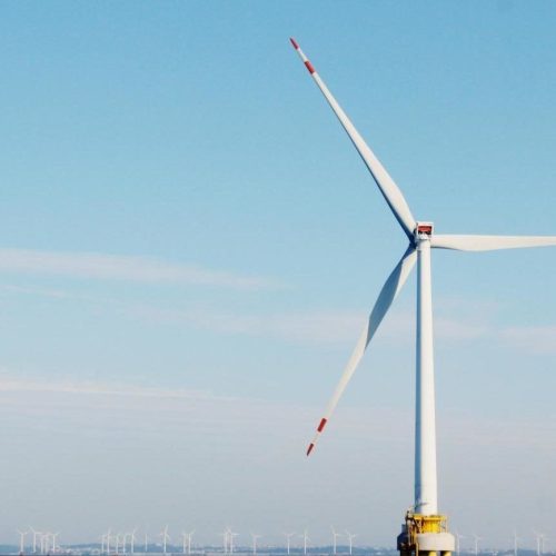 <div style="display:flex;flex-direction:column;align-items:center;text-align:center;gap:2px;"><img src="https://energy-wind.md/wp-content/uploads/2023/04/Ming_Yang_logo_2.webp" style="width:60px;height:60px;object-fit:contain;">Turbine eoliene - MingYang</span></div>